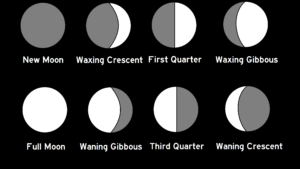 Eight Moon Phases (Short Edition)