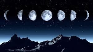 Eight Phases of the Moon Moon: Whole Survey