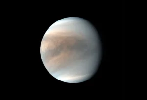Why Venus Looks White From Your Backyard