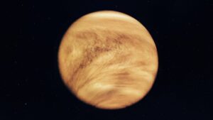 Why Venus Colors Matter More Than They Seem: