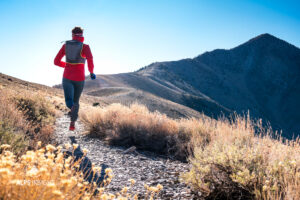 Hiking Routes Leading Toward Telescope Peak: 