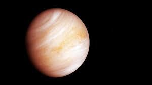 What Is the Venus Definition? A Complete freshman's companion: