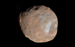 What Do We Really Know About Life on Mars? A Complete preface: